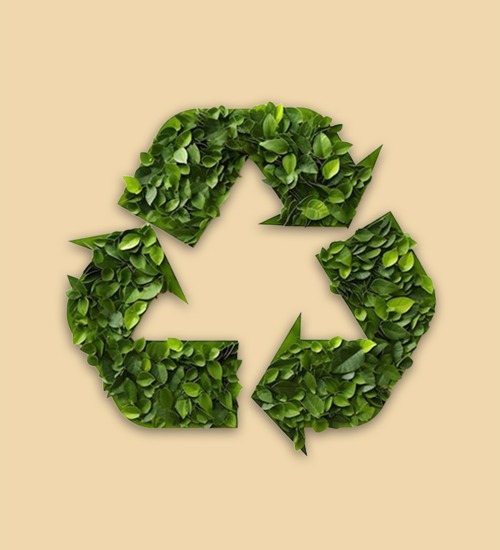 Raymond Realty Sustainability