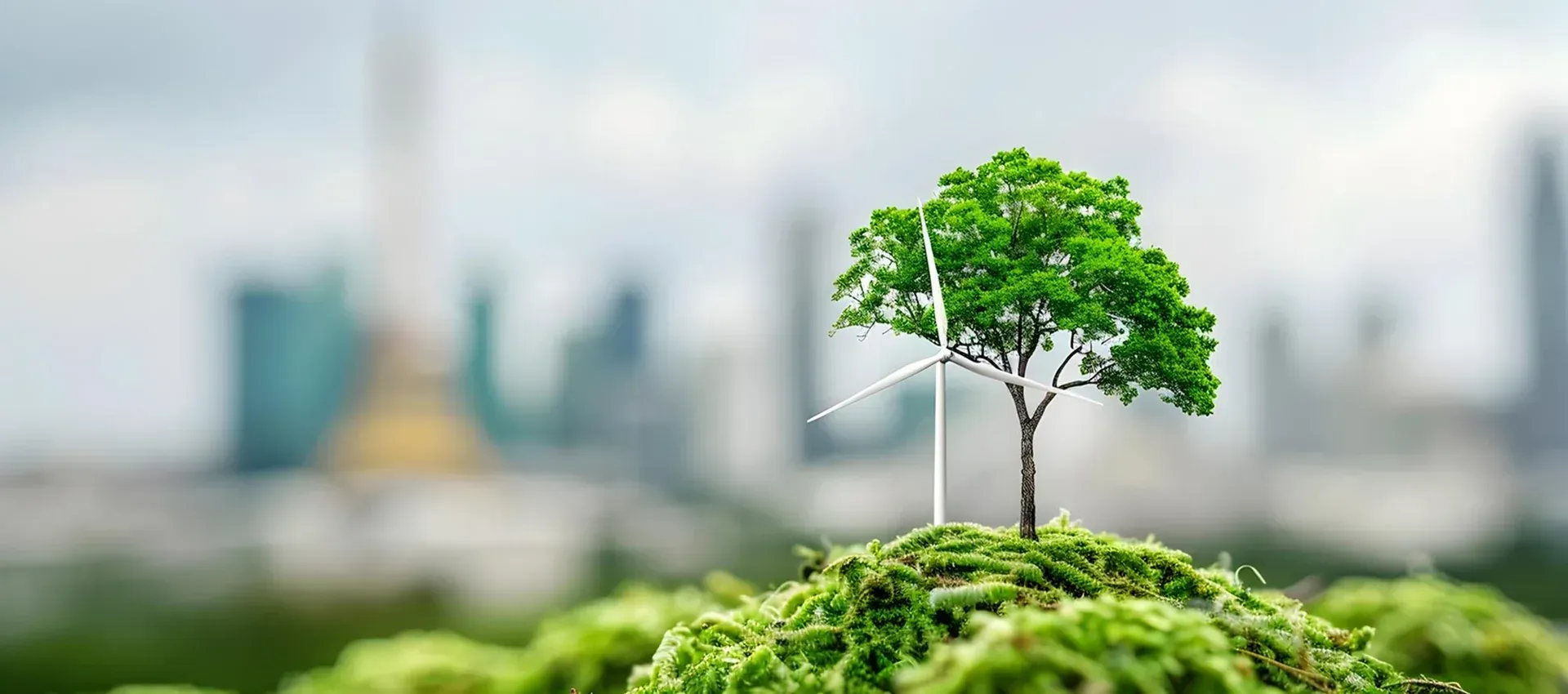 Sustainability